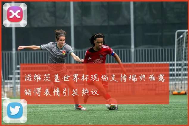 诺维茨基世界杯现场支持瑞典面露错愕表情引发热议
